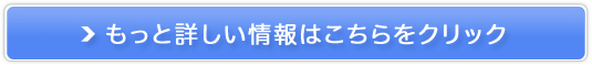 ynvZ^100z̔TCg